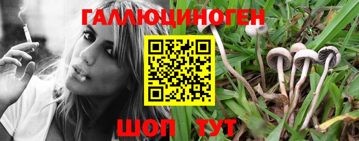 Галлюциногенные грибы Psilocybine cubensis  Вход с VPN  где найти наркотики  Прохладный 