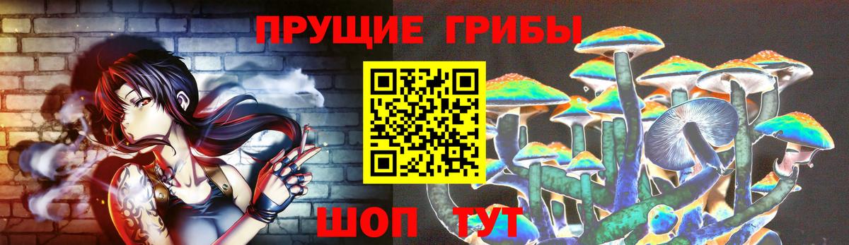 Галлюциногенные грибы Psilocybine cubensis Прохладный