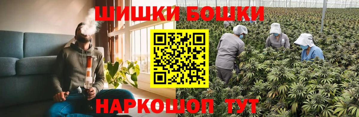 Шишки марихуана OG Kush  Вход с VPN  Бошки марихуана план  Прохладный  Канабис OG Kush 